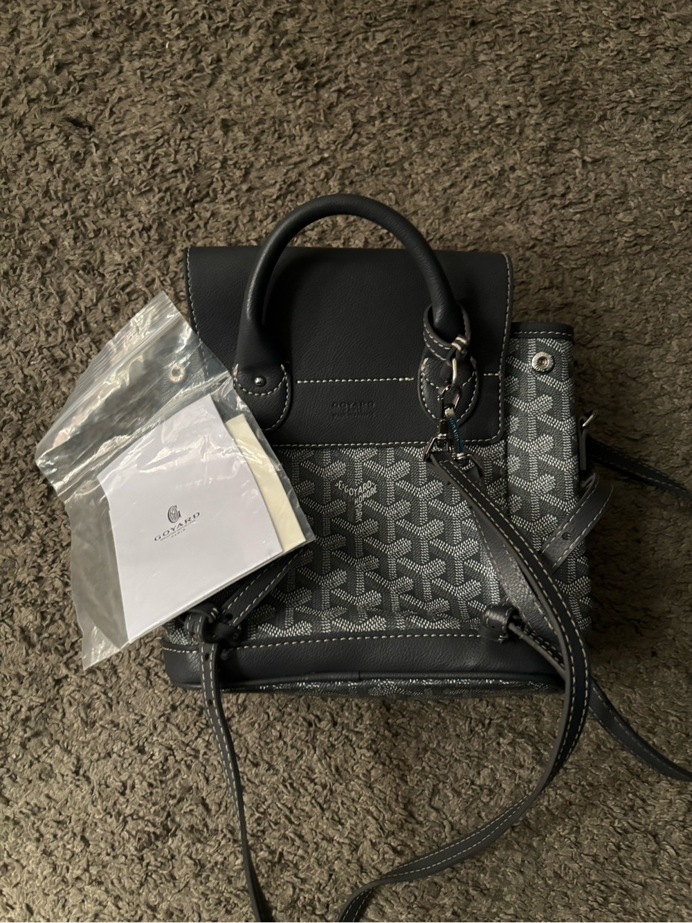 Goyard Calfskin Alpin Mini Backpack